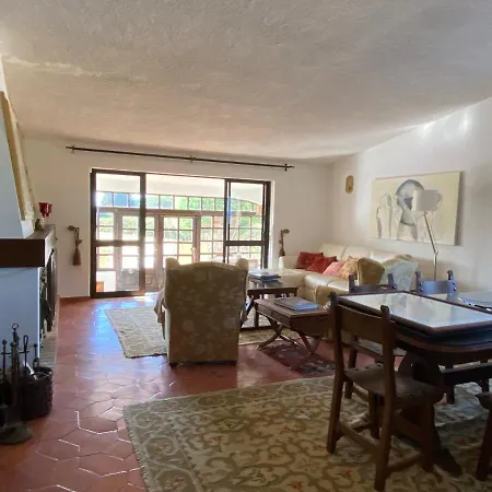 Cama Da Vaca Mato Porcas