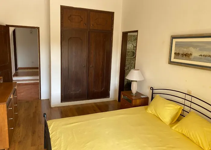 Cama Da Vaca * Mato Porcas